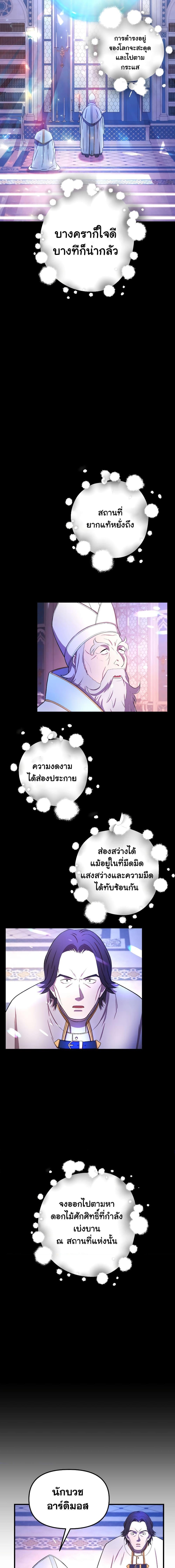 Golden Mage 28 17