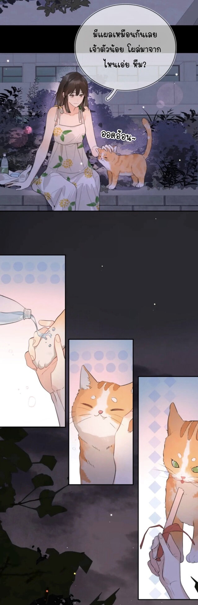 Heliotrope & ZJZ 9 (14)