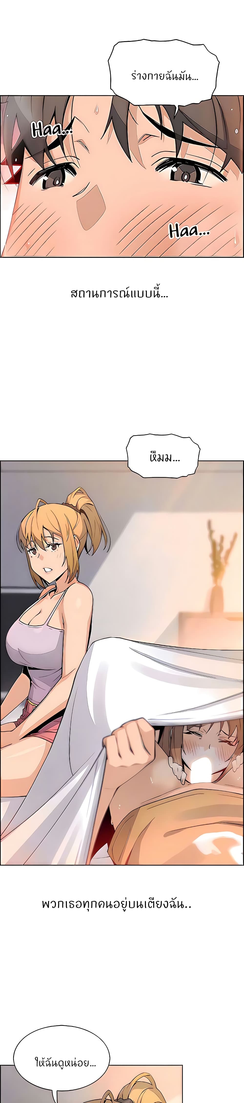 Tofu Shop Beauties21