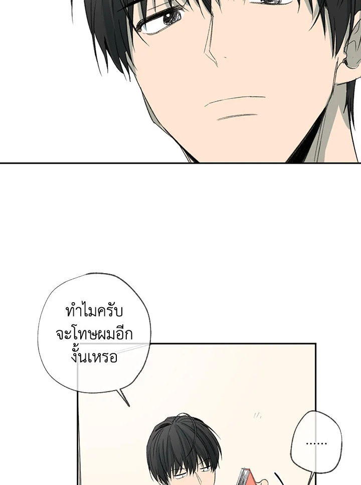 The Shape of Sympathy 38 67