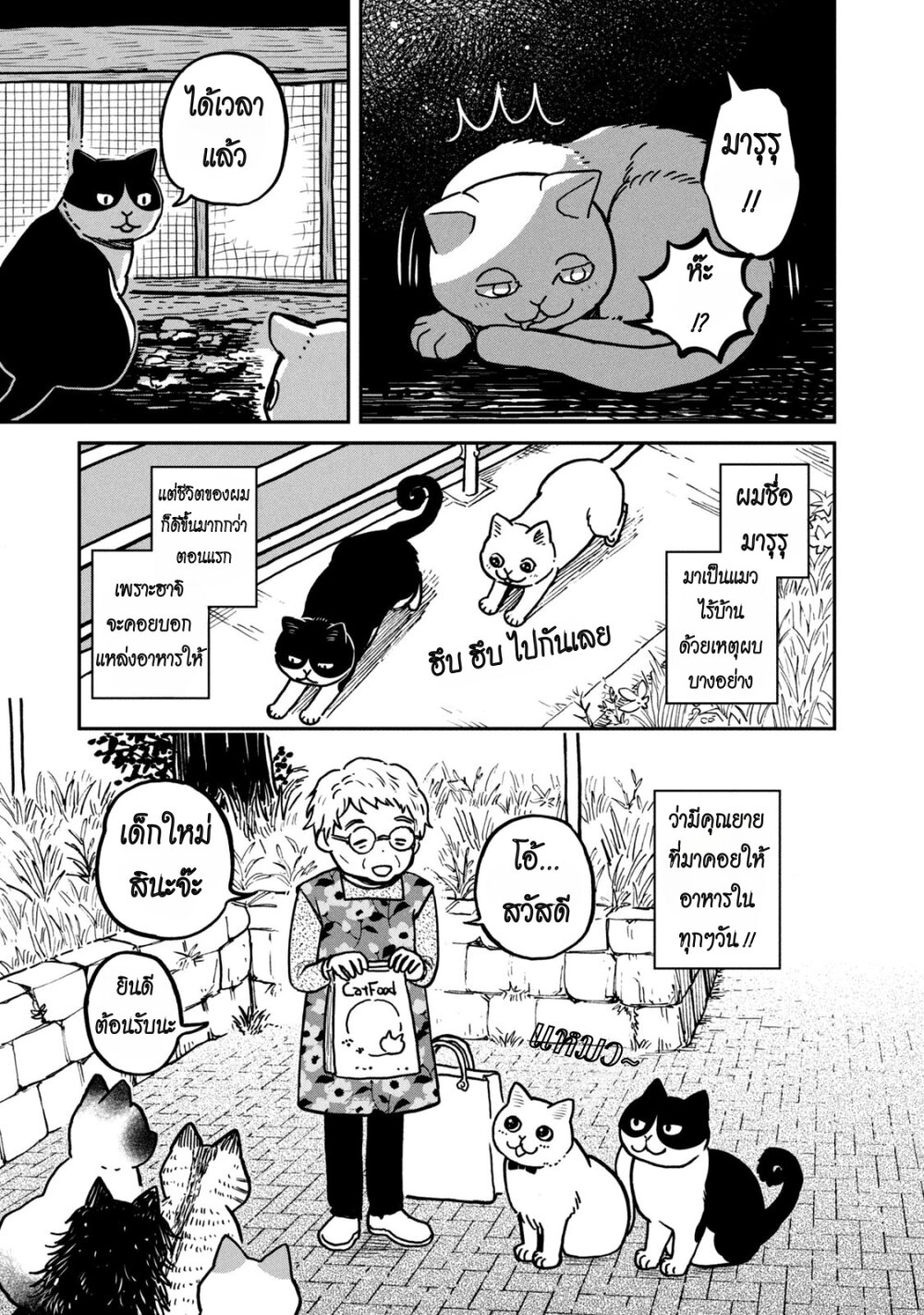 Tsureneko – Maruru to Hachi 2 03