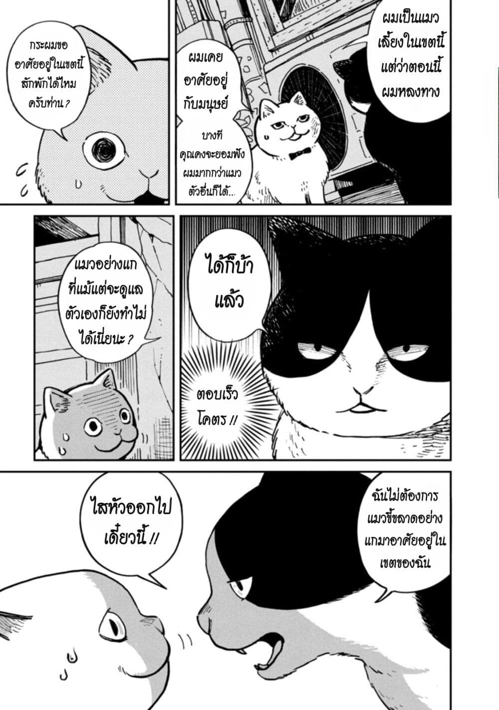 Tsureneko – Maruru to Hachi 1 06