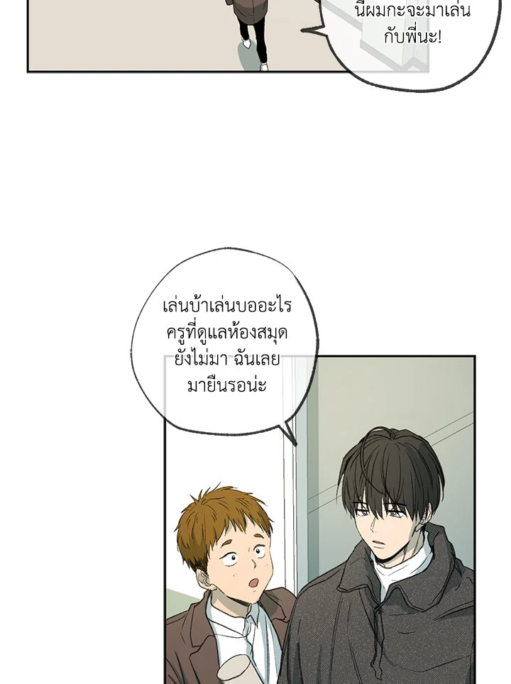 The Shape of Sympathy 50 69
