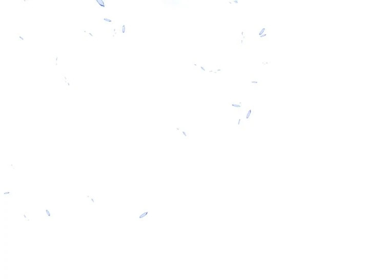 The Viridescent Crown 16 010