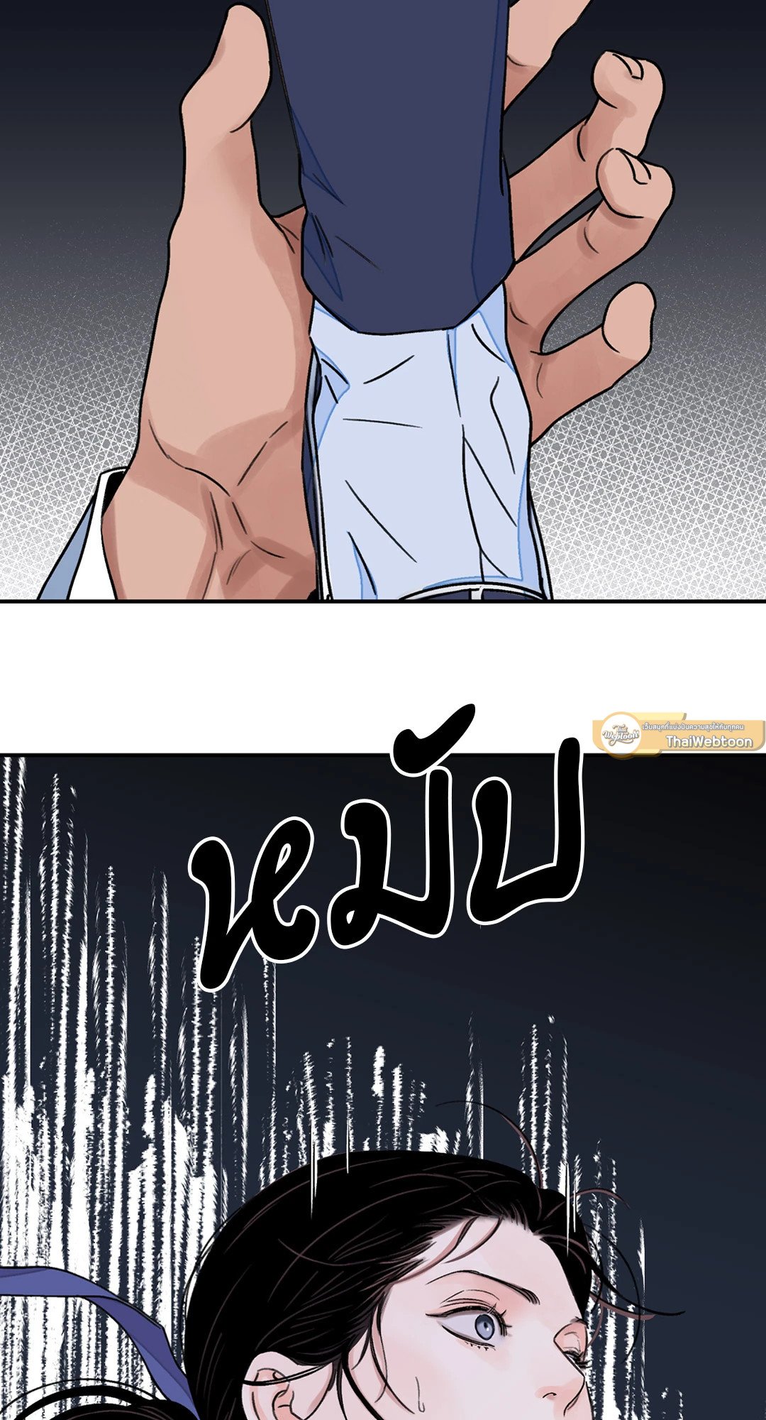 บุปผาซ่อนดาบ 26 46