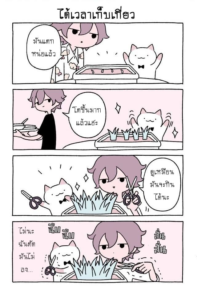 Wonder Cat Kyuu chan 6 09