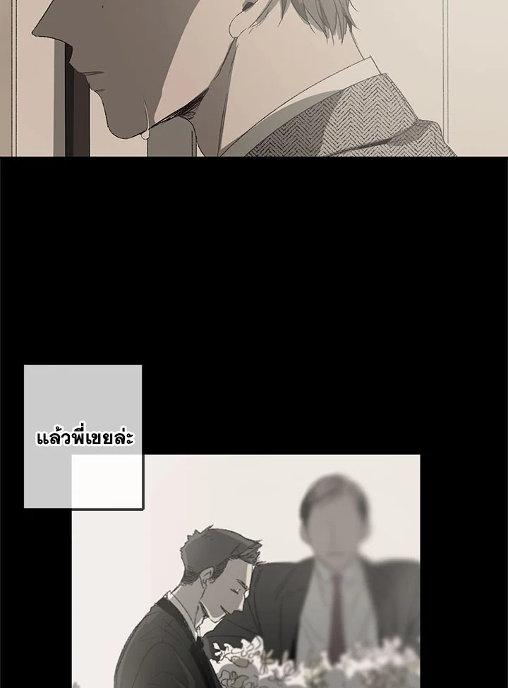 The Shape of Sympathy 5 054