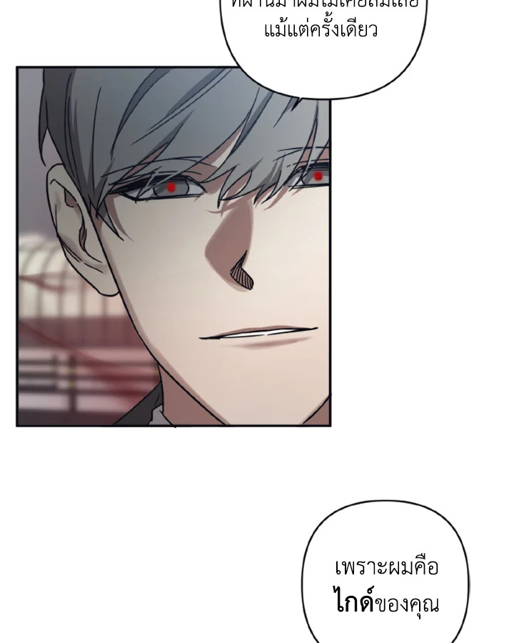 Guilty Affection 25 50