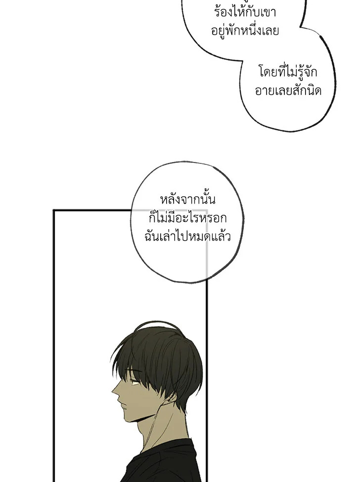 The Shape of Sympathy 44 06