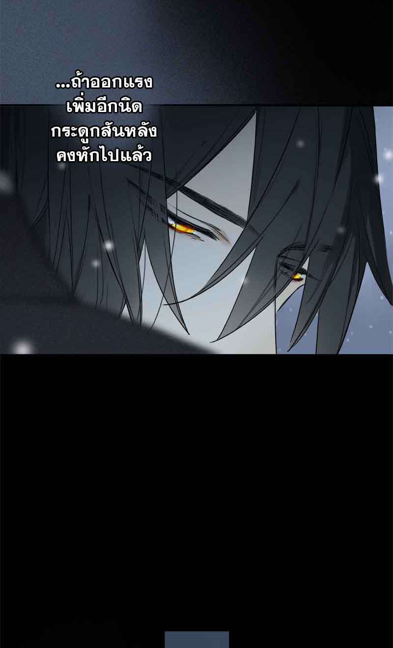 เธเธเธฃเธฑเธเนเธซเนเธเธญเธญเธเธฑเธช51 41