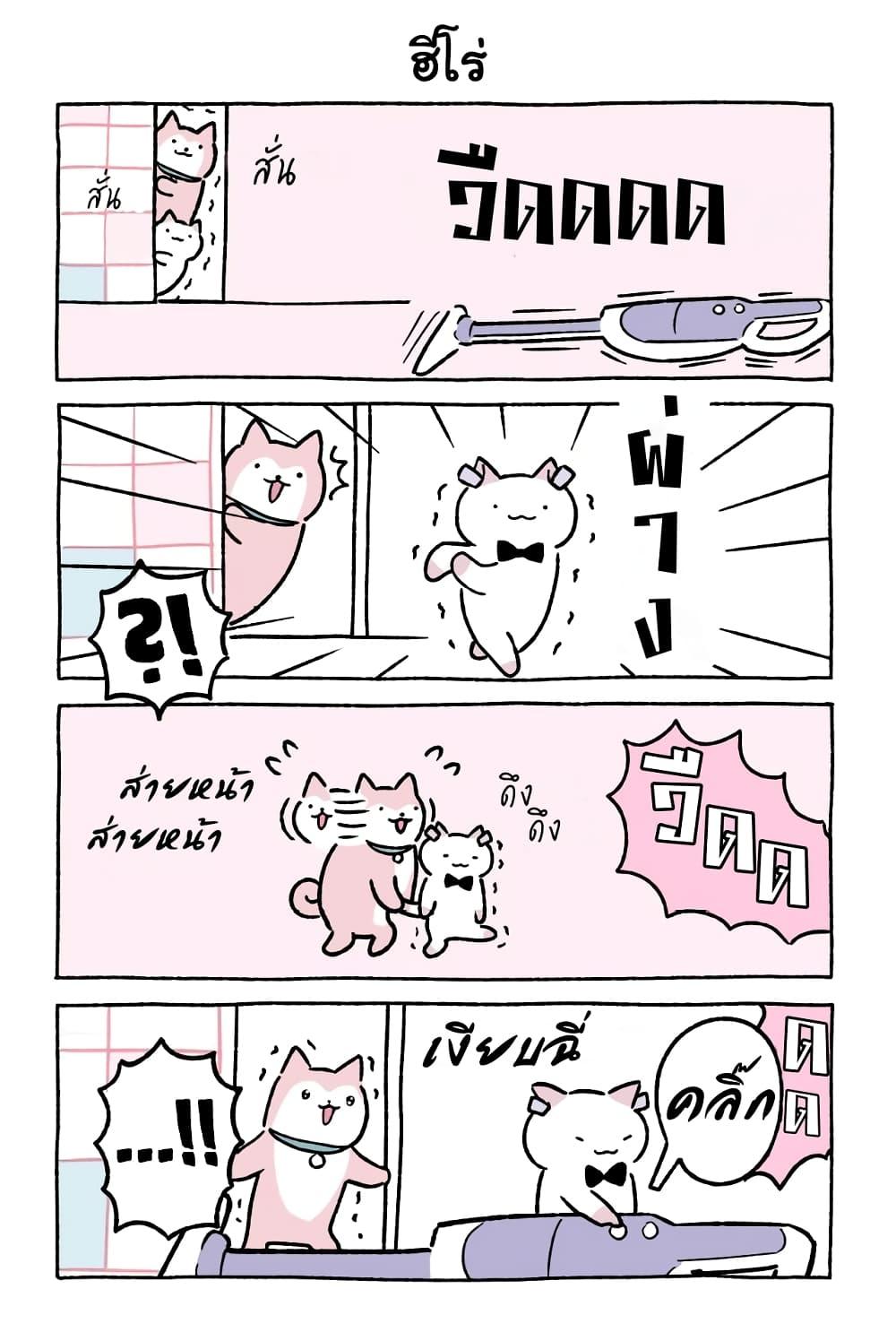 Fushigi Neko no Kyuu chan ตอนที่45 (8)