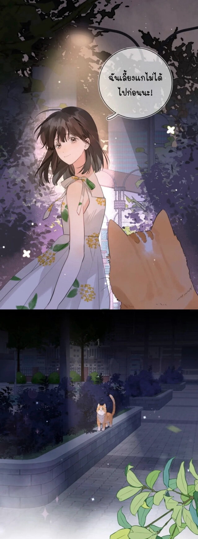 Heliotrope & ZJZ 9 (15)