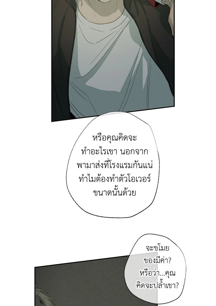 The Shape of Sympathy 22 16