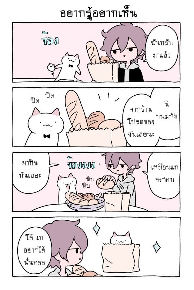 Wonder Cat Kyuu chan 6 14