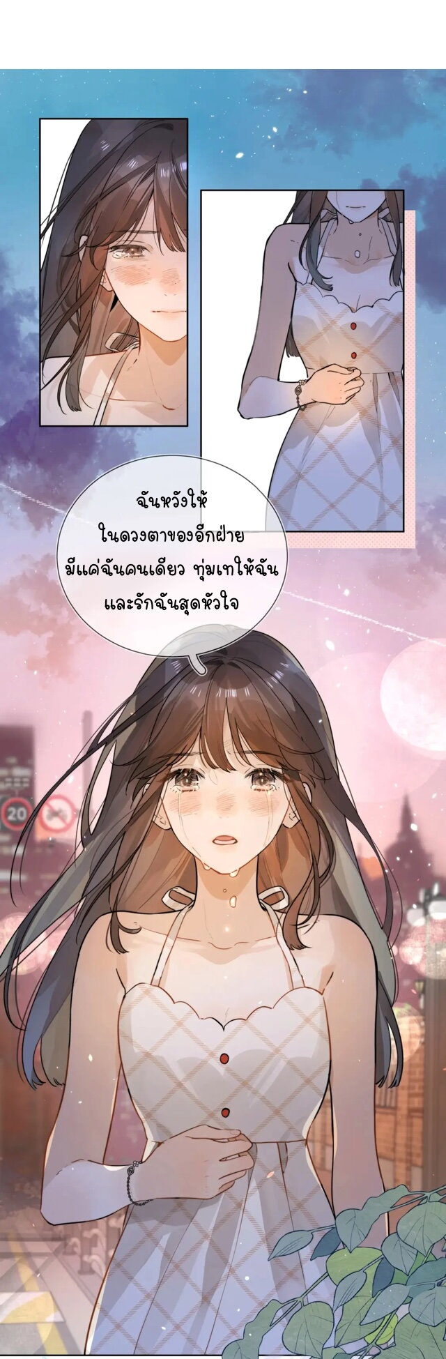 Heliotrope & ZJZ 2 (13)