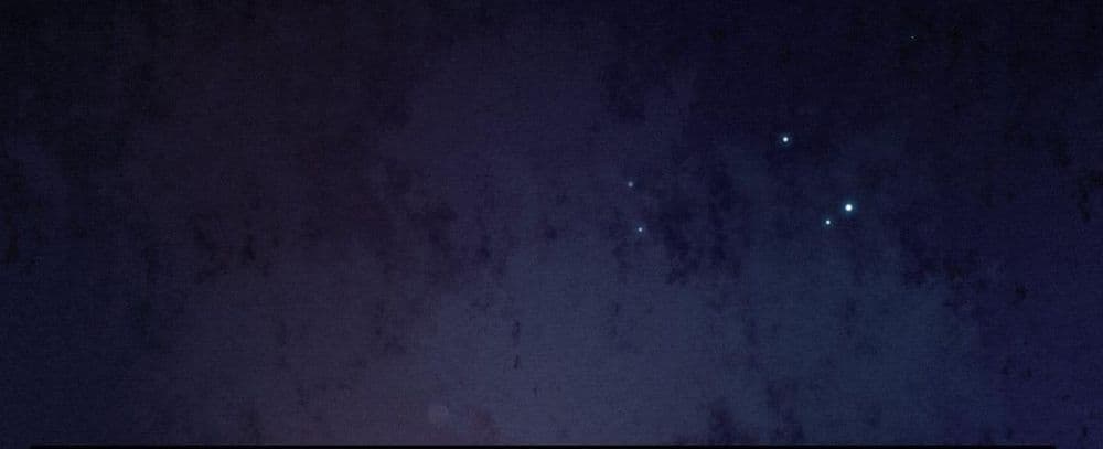 The Beast Tamer 2 14