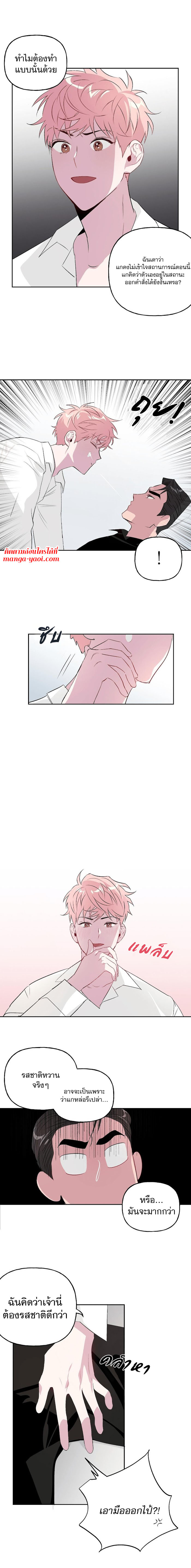 Assorted Wildness 5 (10)