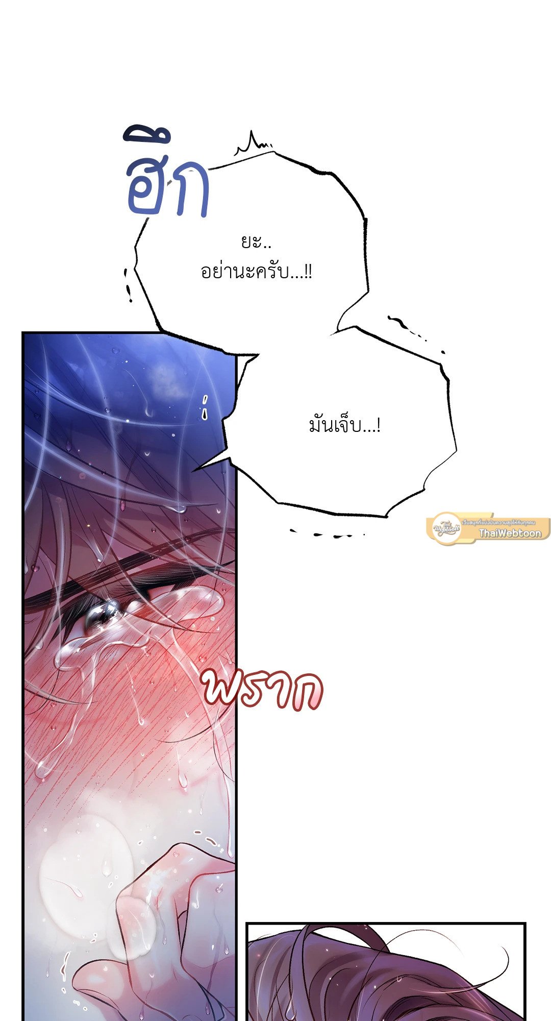 Sugar Rain 29 17