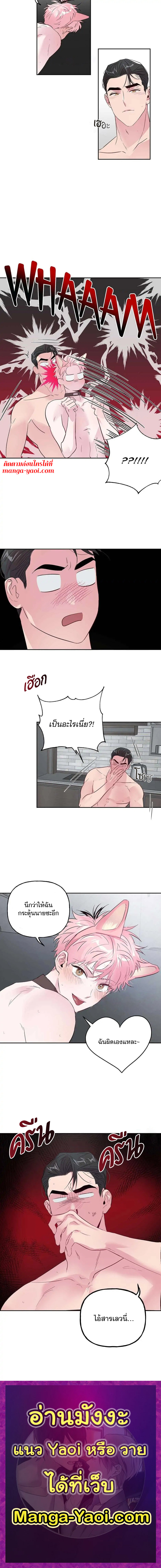 Assorted Wildness ตอนที่ 25 (8)