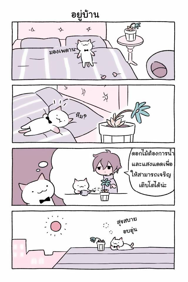 Fushigi Neko no Kyuu chan ตอนที่6 (3)