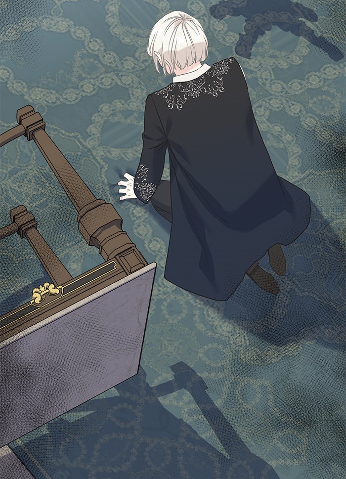 Crows Like Things That Sparkle 55 (69)