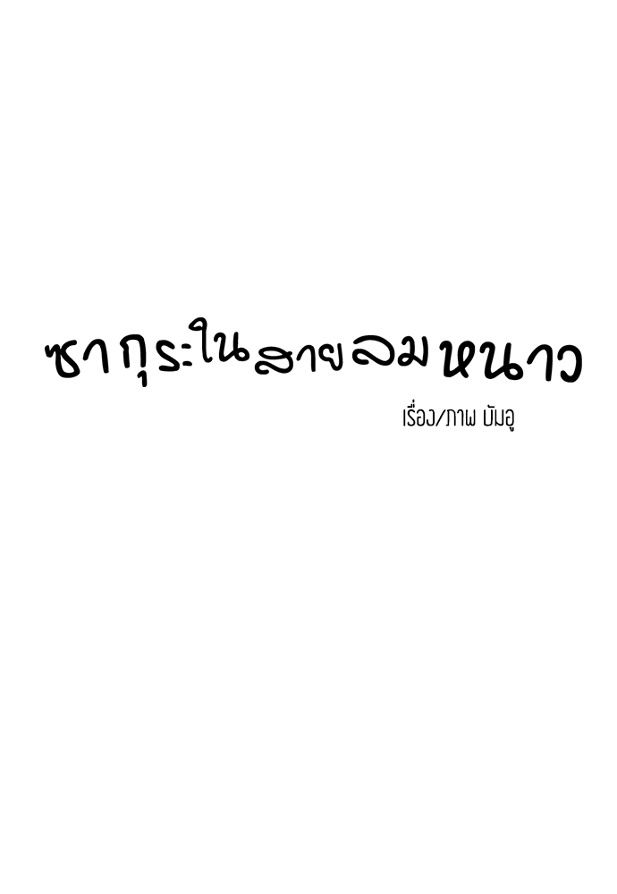 ซากุระในสายลมหนาว 15 13