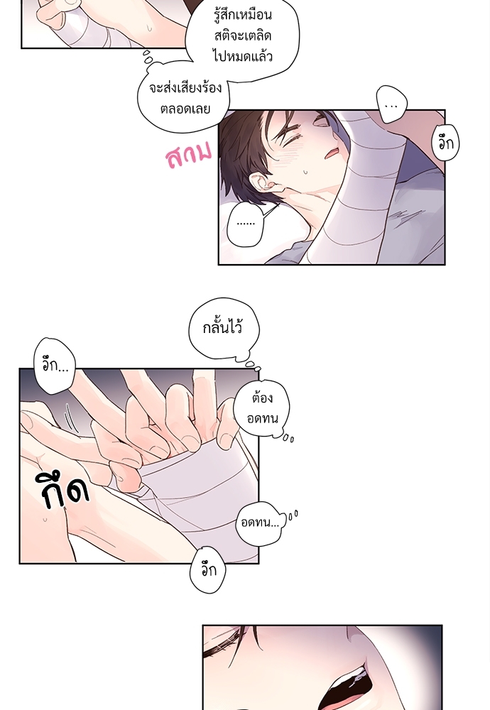 4 Week Lovers 16 12