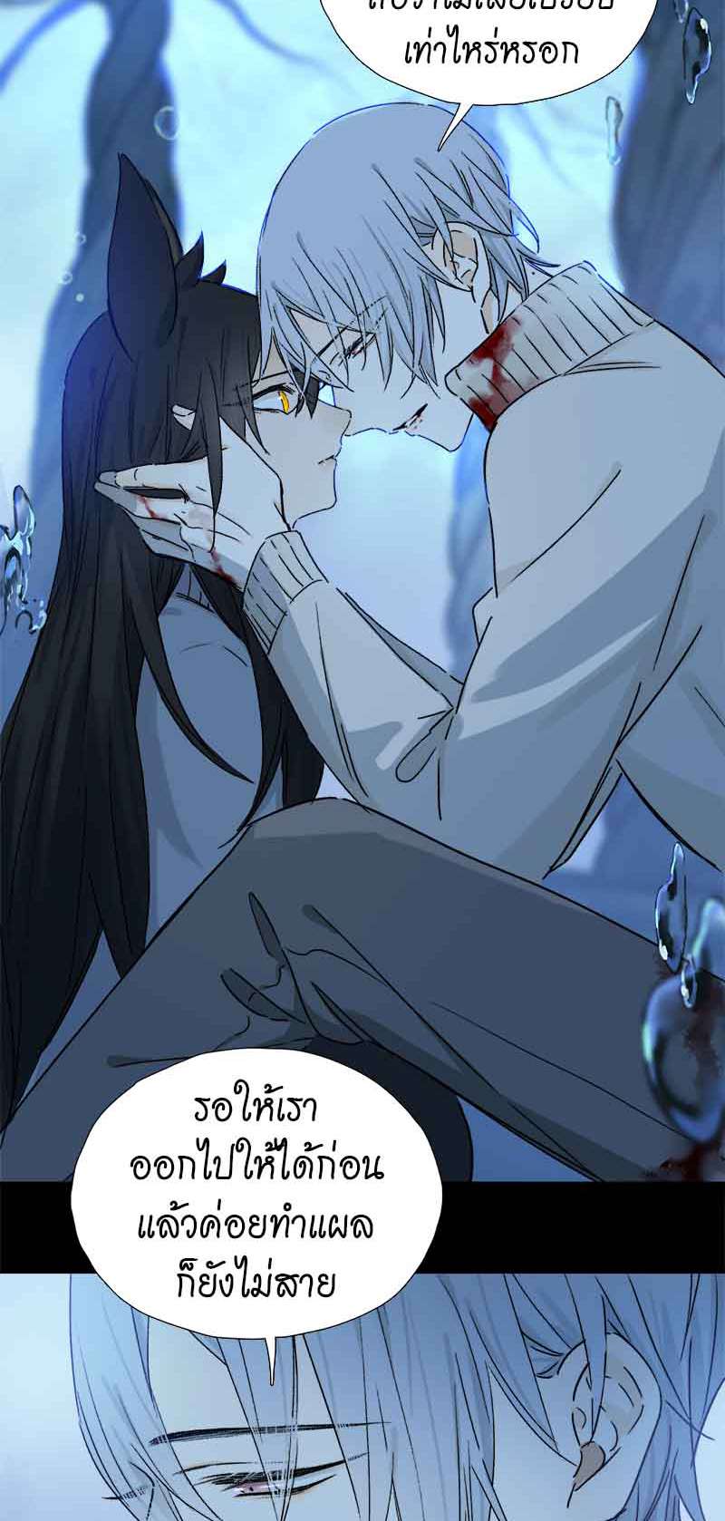 กฎรักแห่งออกัส70 28
