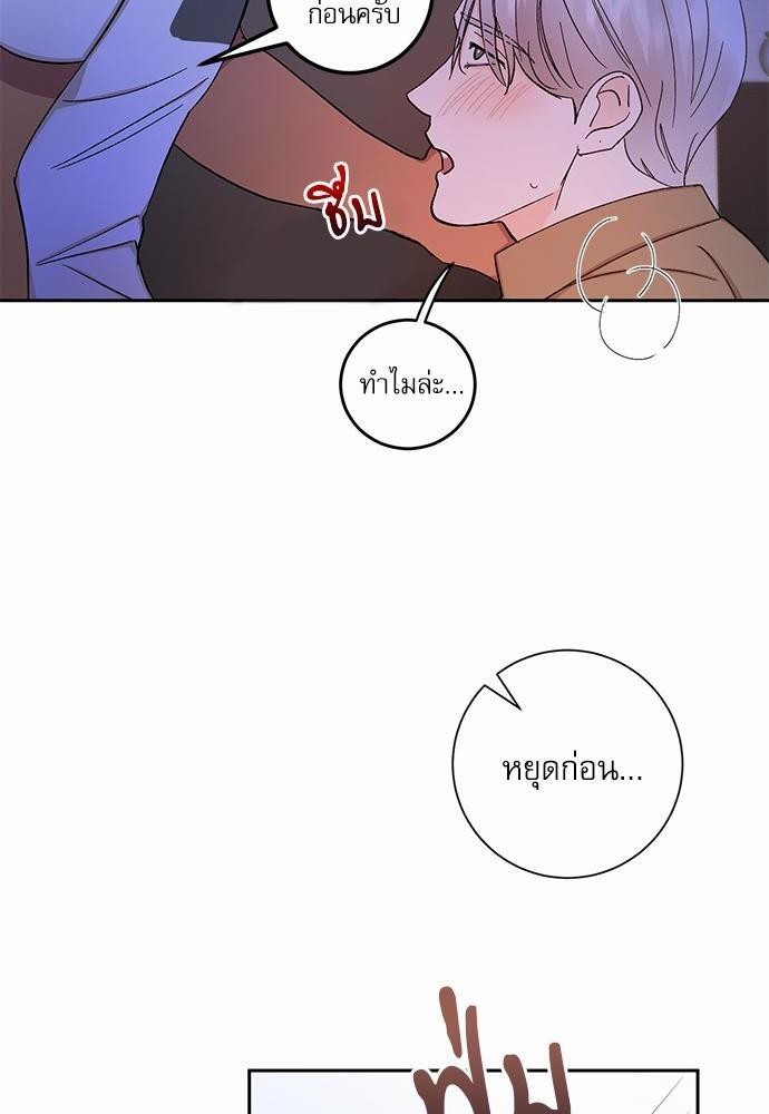 เน€เธชเธทเธญเธเธขเนเธณเธเธฑเธเธ—เธฃเน 29 32