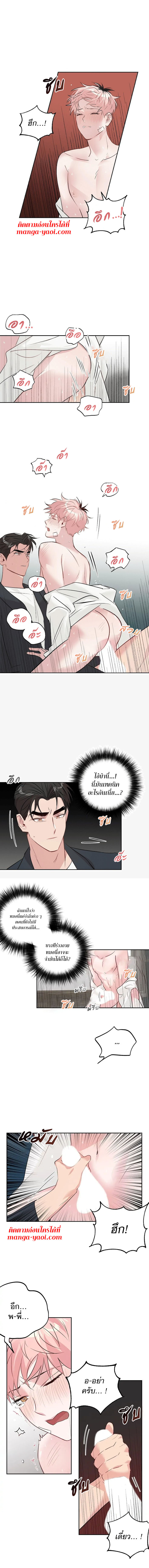 Assorted Wildness ตอนที่16 (7)