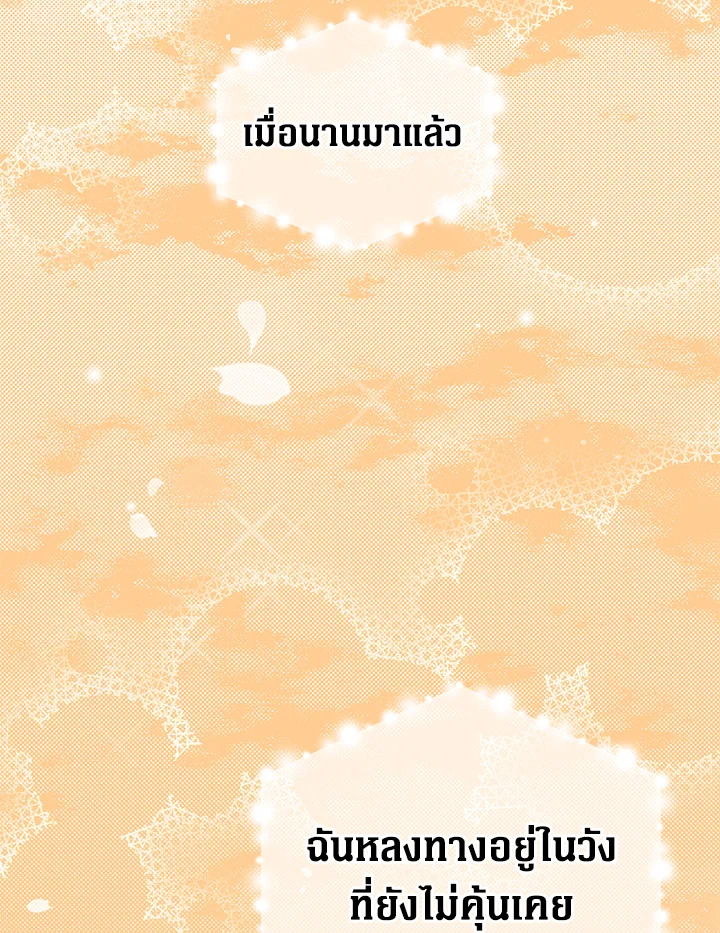 The Lady’s Secret 4 056