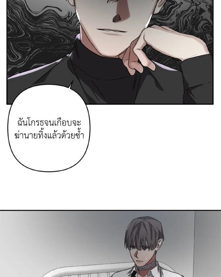 Guilty Affection 20 30