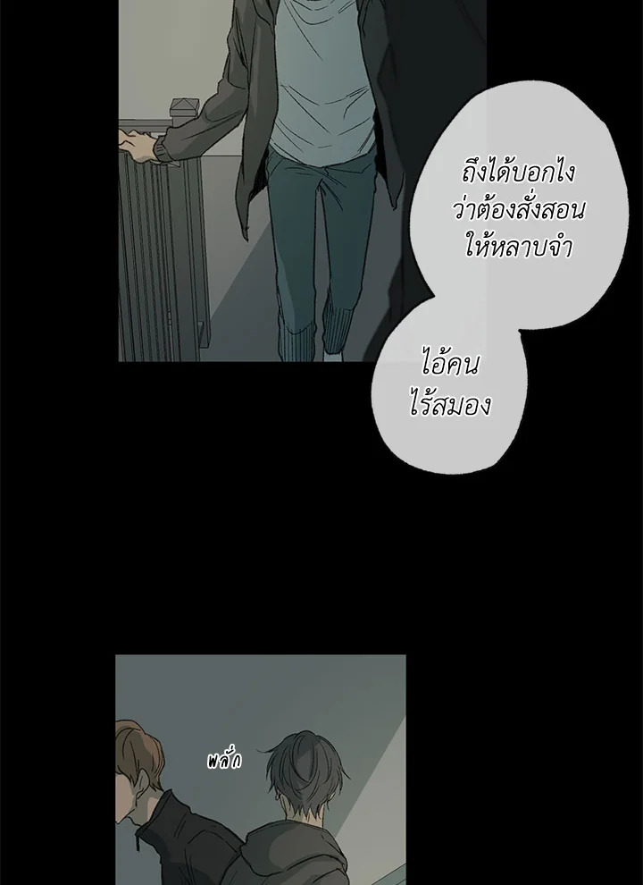 The Shape of Sympathy 47 052