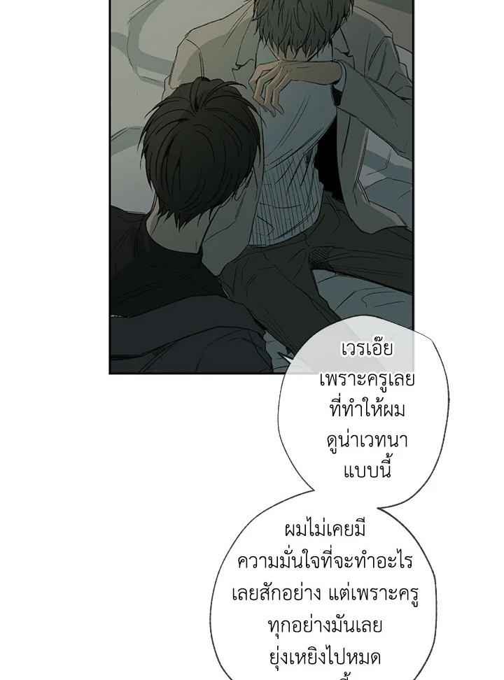 The Shape of Sympathy 26 56
