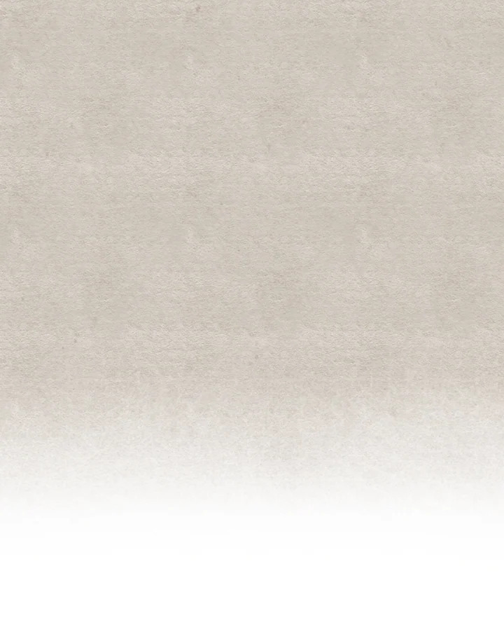 I Became the Tyrant's Translator 2 57