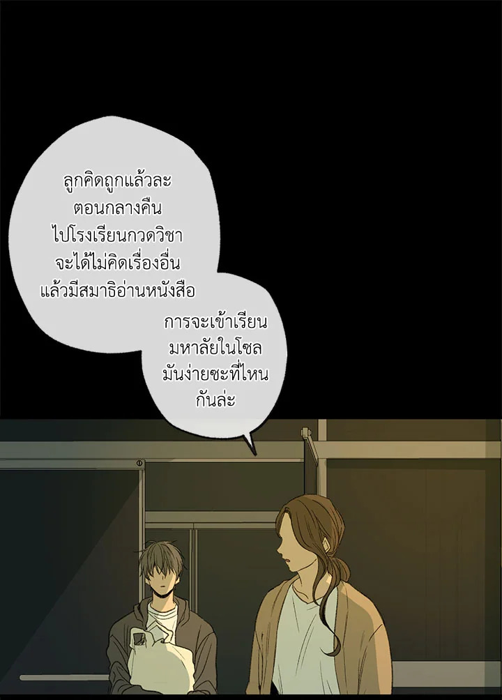 The Shape of Sympathy 47 031