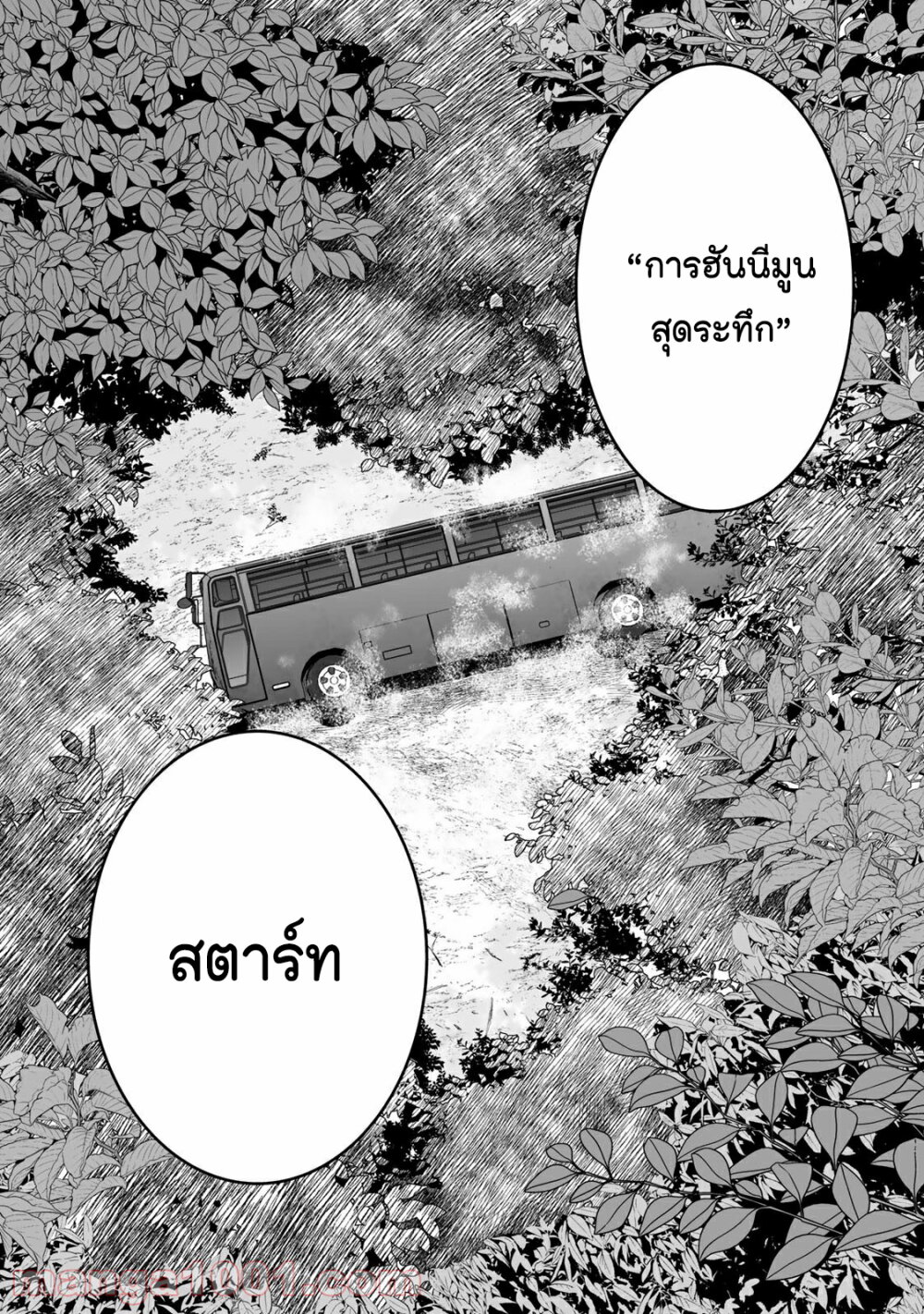 Tamarowa 36 (22)