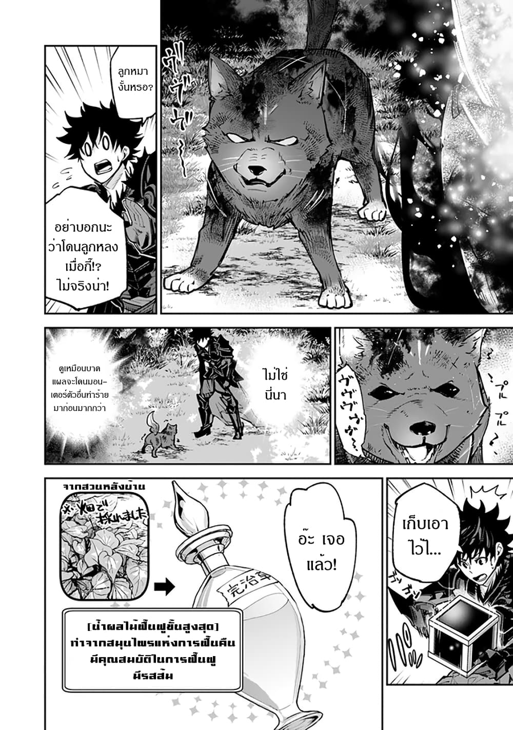 Isekai de Cheat Skill wo te ni Shita ore wa 13 (9)