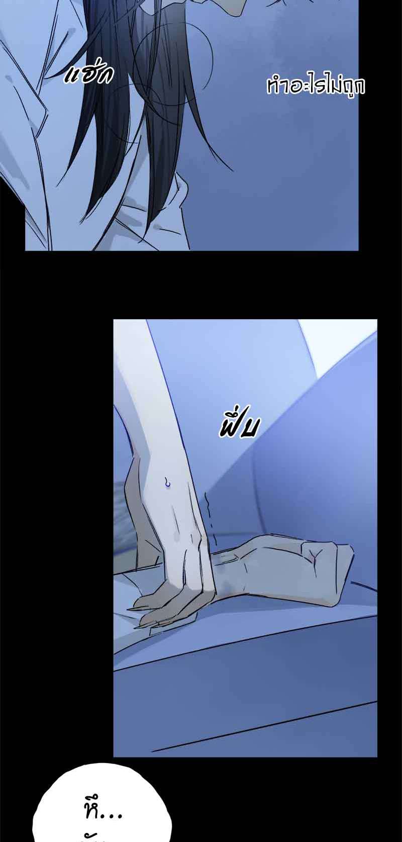 กฎรักแห่งออกัส80 29