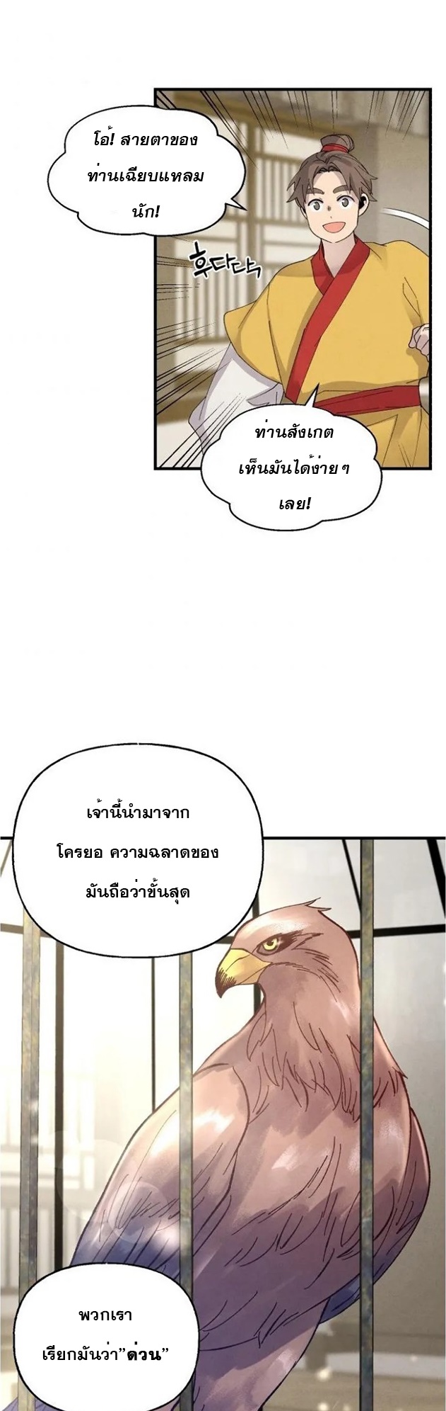 lightning degree84 (32)