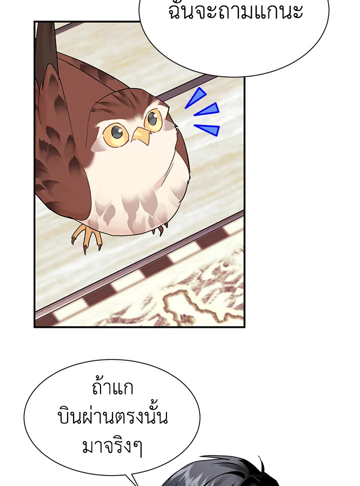 The Falcon Princess 18 37