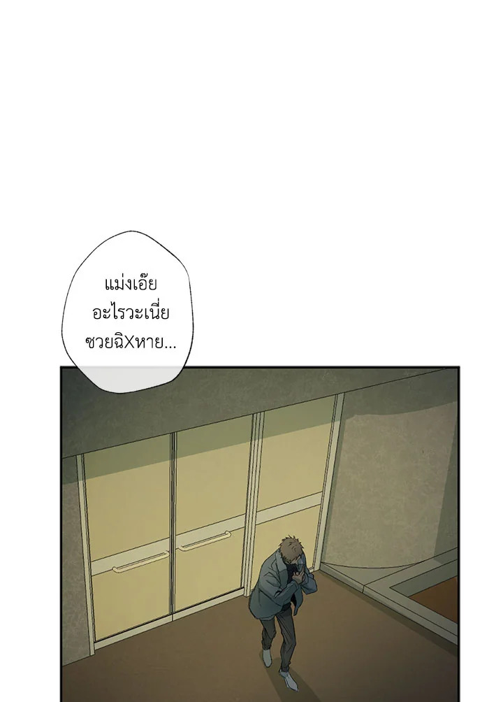 The Shape of Sympathy 23 03