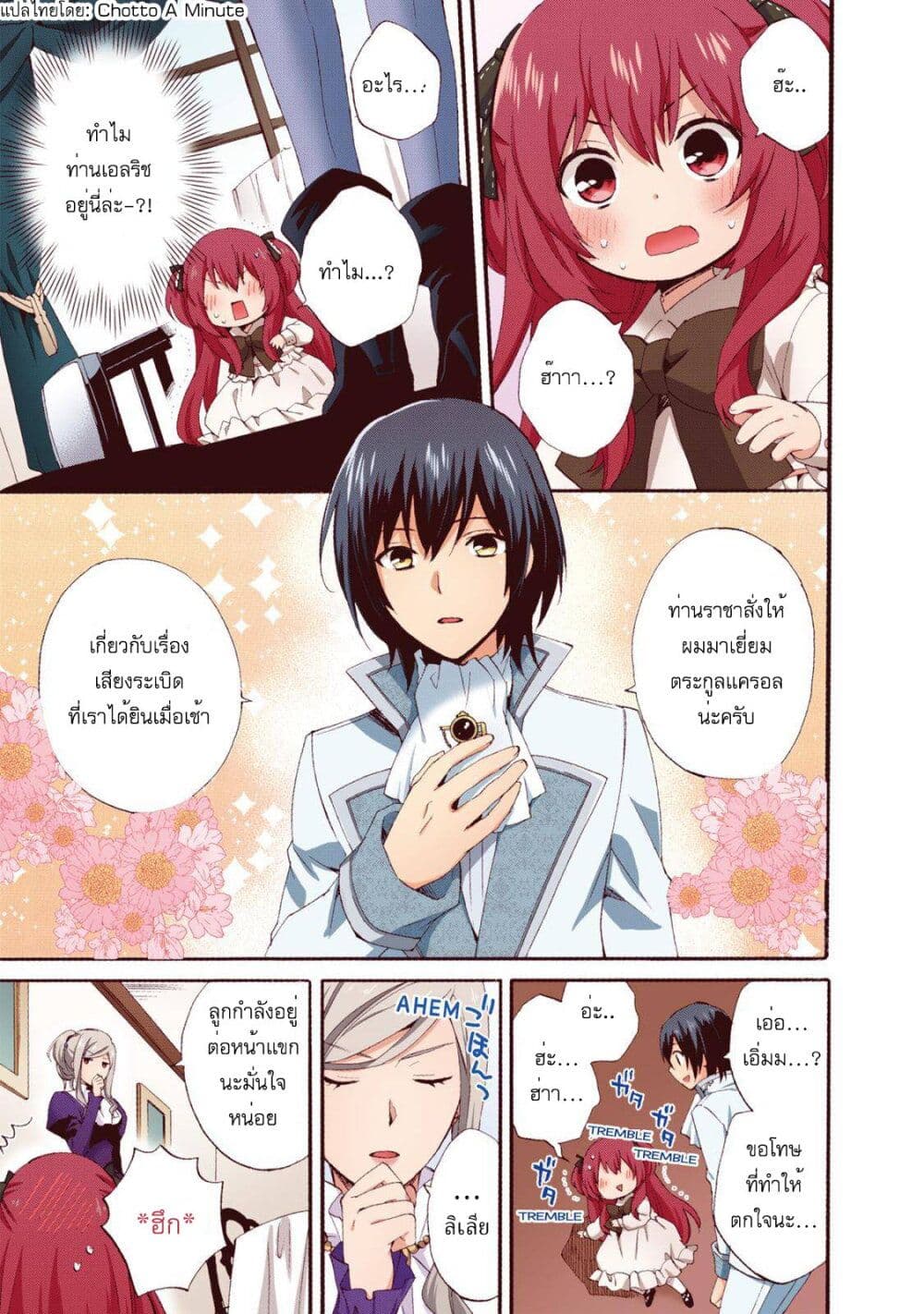 Head Start at Birth 3 12