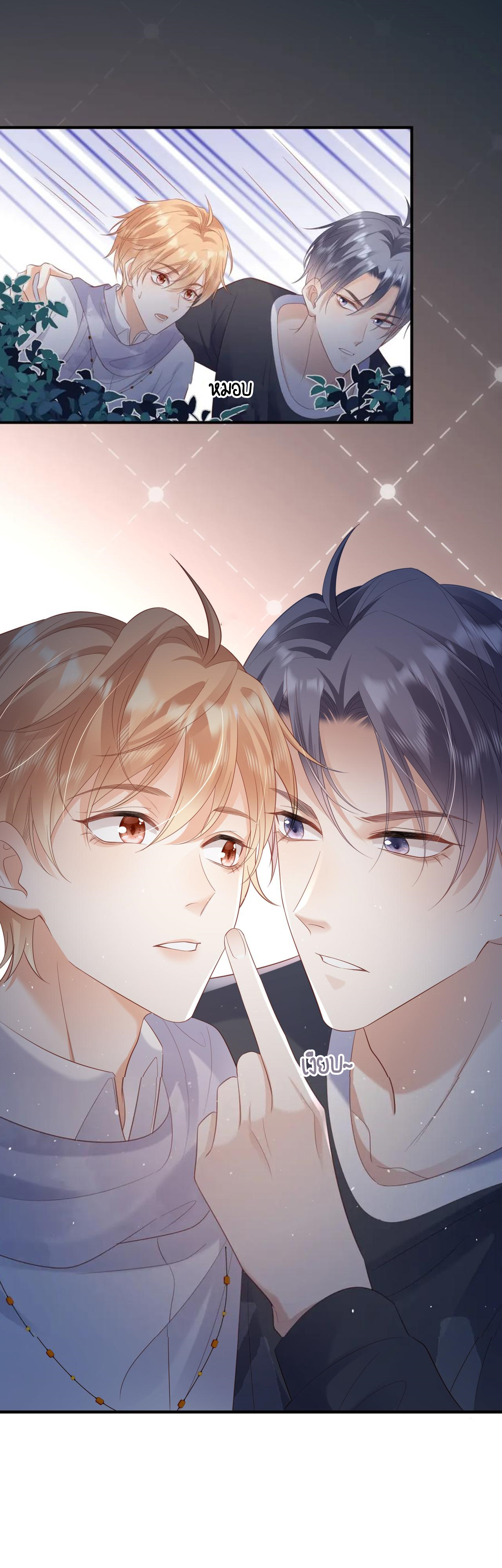 ซ่อนแอบ 21 19
