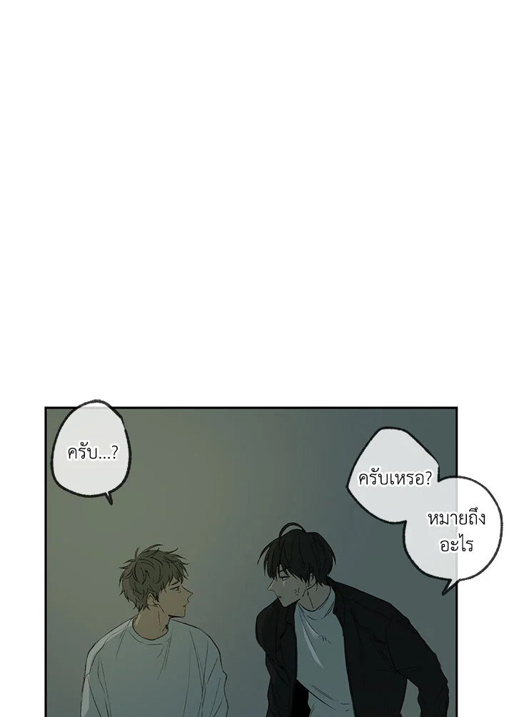 The Shape of Sympathy 4 009