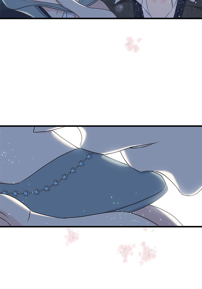 Crows Like Things That Sparkle 56 (51)