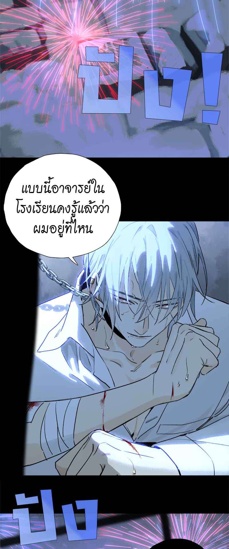 กฎรักแห่งออกัส54 37