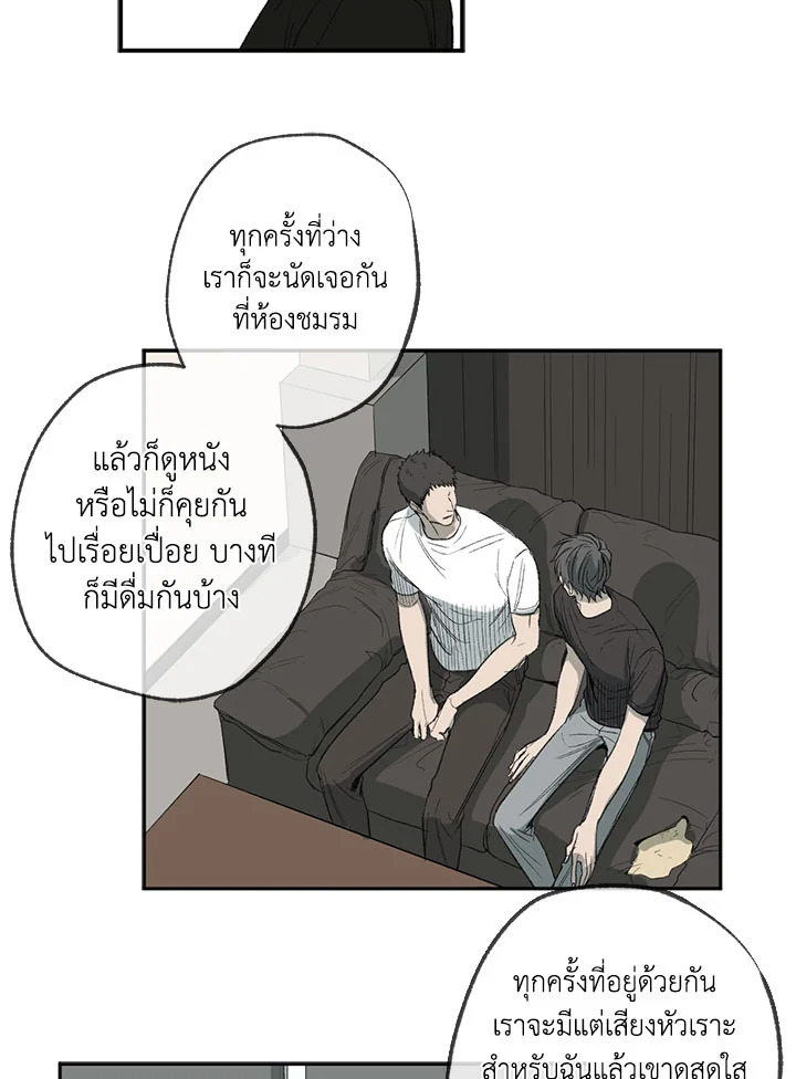 The Shape of Sympathy 44 07