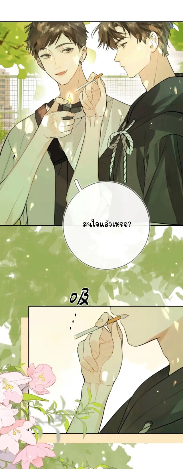 Heliotrope & ZJZ 8 (14)