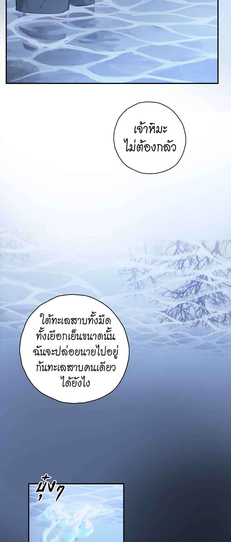 กฎรักแห่งออกัส78 13